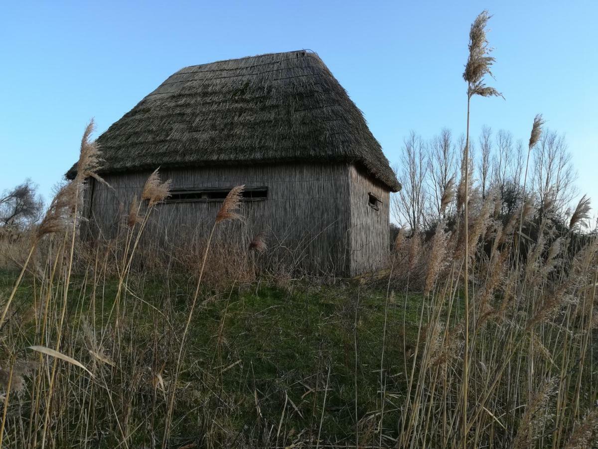 Apartmán Il Piccolo Albero Scardovari Exteriér fotografie